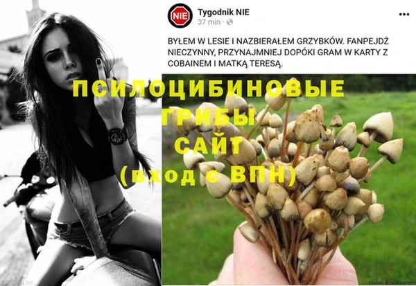 мефедрон Богородицк