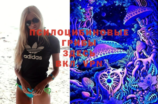 спиды Богородск