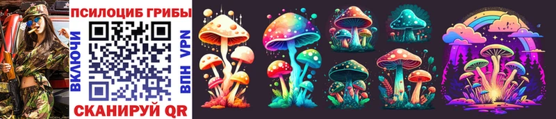 Галлюциногенные грибы Cubensis  Ворсма 